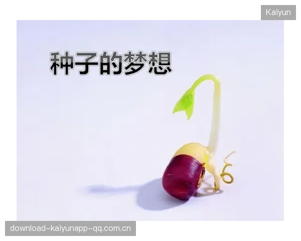 追梦看衰库明加：从“梦想的种子”到“现实的翅膀”